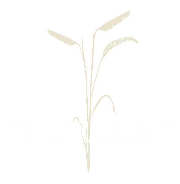 Oral and Facial Surgery of Eastern Colorado Logo